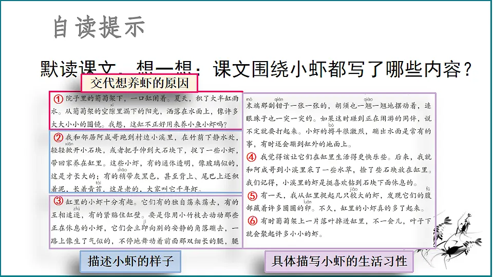【核心素养】部编版小学语文三年级下册 11 小虾 课件第6页