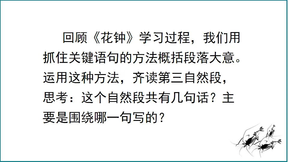 【核心素养】部编版小学语文三年级下册 11 小虾 课件第7页