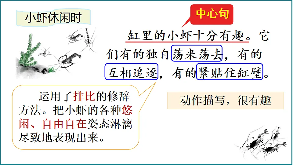 【核心素养】部编版小学语文三年级下册 11 小虾 课件第8页