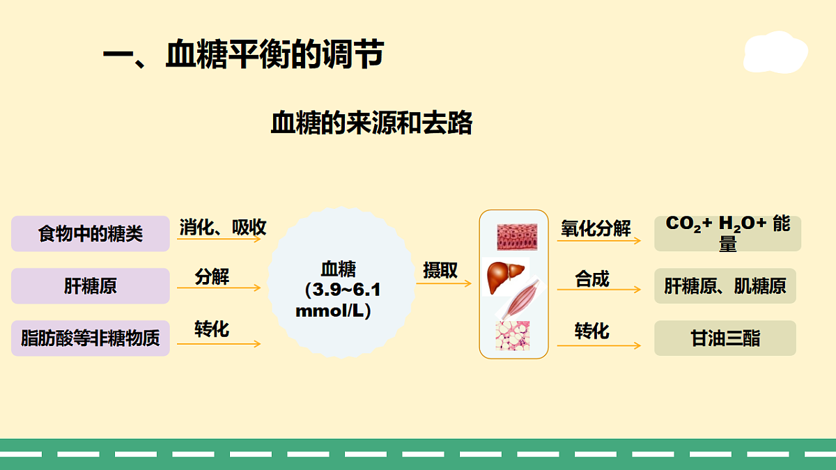 3.2 激素调节的过程-课件-2025-2026学年高二上学期《生物》(人教版)选择性必修1第3页