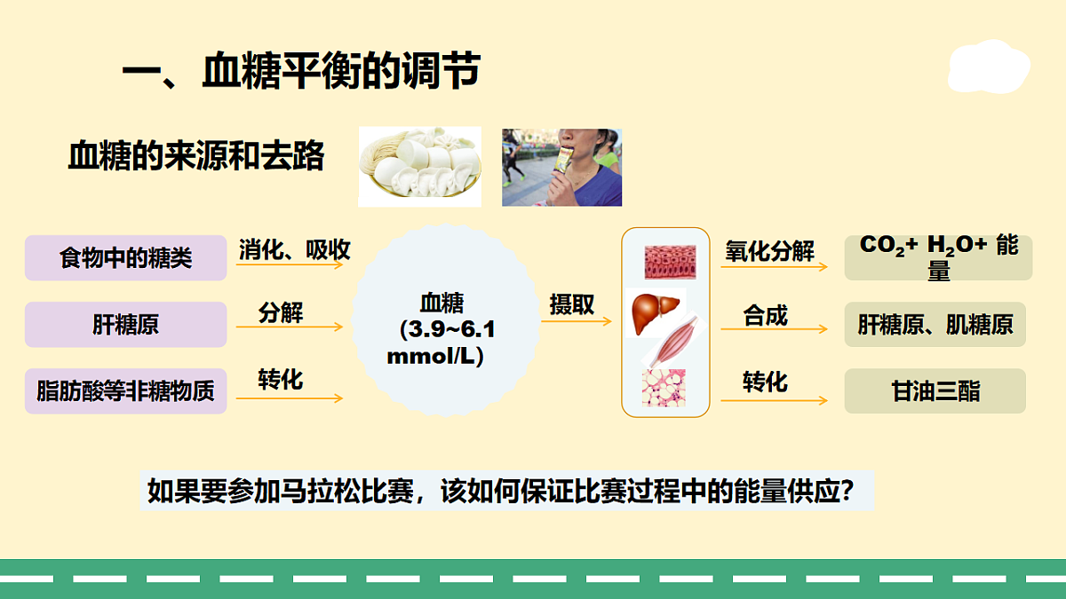 3.2 激素调节的过程-课件-2025-2026学年高二上学期《生物》(人教版)选择性必修1第4页
