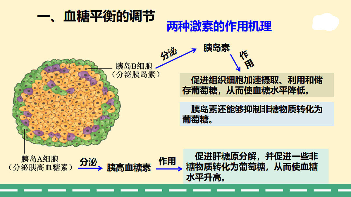 3.2 激素调节的过程-课件-2025-2026学年高二上学期《生物》(人教版)选择性必修1第6页