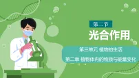 初中人教版（2024）光合作用示范课ppt课件