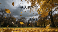 初中语文人教部编版（2024）七年级上册秋天的怀念备课ppt课件