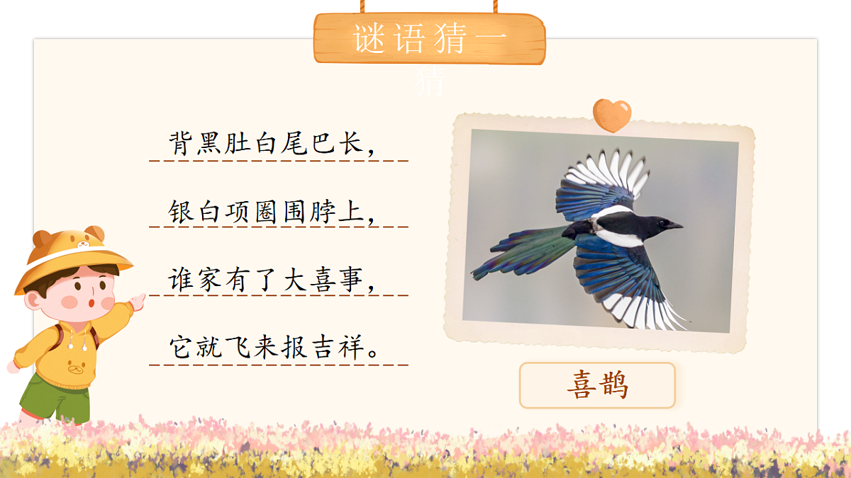 统编版二年级语文下册【教学课件】阅读10.《枫树上的喜鹊》第4页