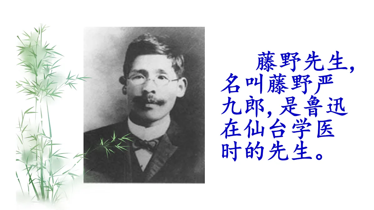 部编版八年级语文上册7 藤野先生 课件第2页