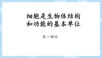 初中生物济南版（2024）七年级上册（2024）细胞是生物体结构和功能的基本单位说课课件ppt