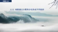 生物七年级上册（2024）细胞通过分裂和分化形成不同组织课前预习ppt课件
