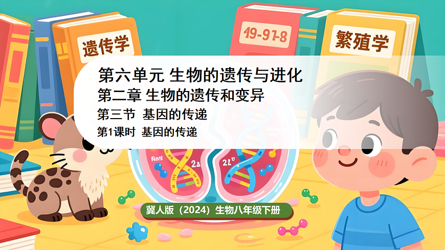 冀少版(2024)生物八年级下册 6.2.3 基因的传递 第1课时 (课件)第1页