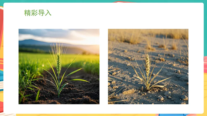 冀少版(2024)生物八年级下册 6.2.5 生物的变异 (课件)第2页