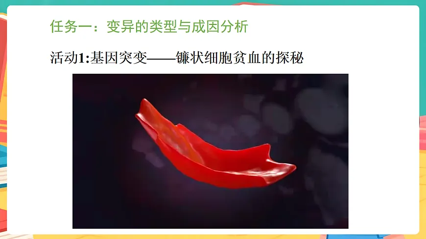 冀少版(2024)生物八年级下册 6.2.5 生物的变异 (课件)第4页