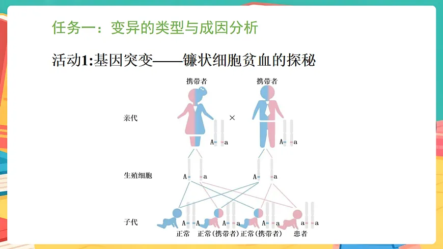 冀少版(2024)生物八年级下册 6.2.5 生物的变异 (课件)第7页