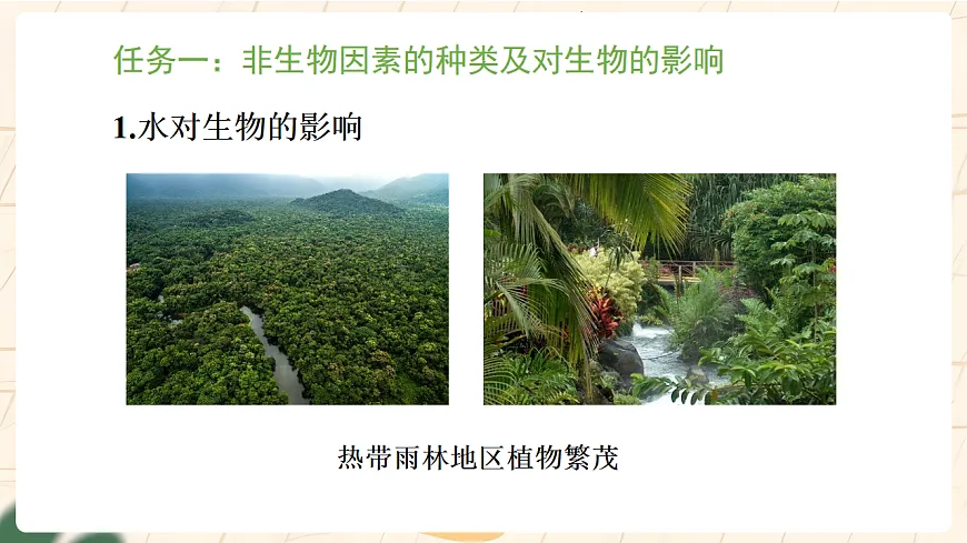 冀少版(2024)生物八年级下册 7.1.1 非生物因素对生物的影响 第2课时 (课件)第4页