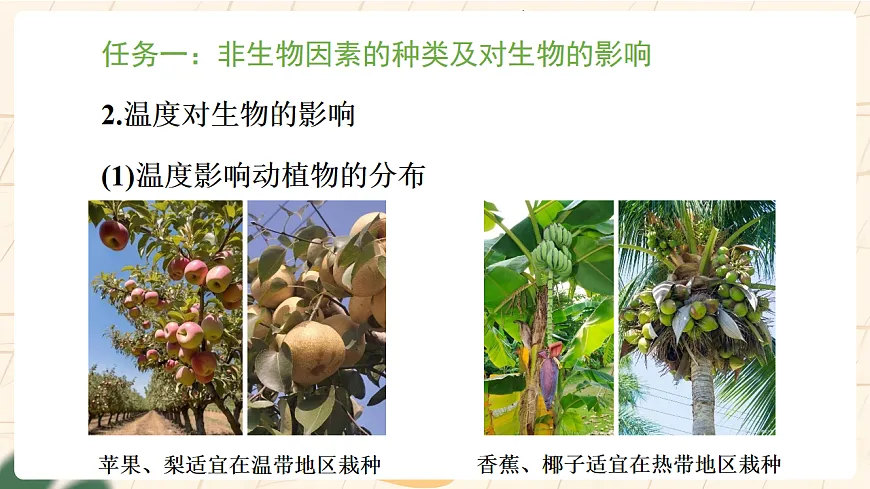 冀少版(2024)生物八年级下册 7.1.1 非生物因素对生物的影响 第2课时 (课件)第7页