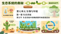 冀少版（2024）八年级下册（2024）第五节 生态系统中的物质循环和能量流动集体备课课件ppt