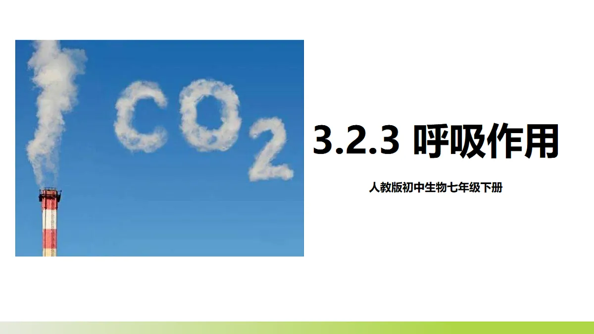 人教版 初中生物 七年级下册 - 3.2.3《呼吸作用》课件第1页