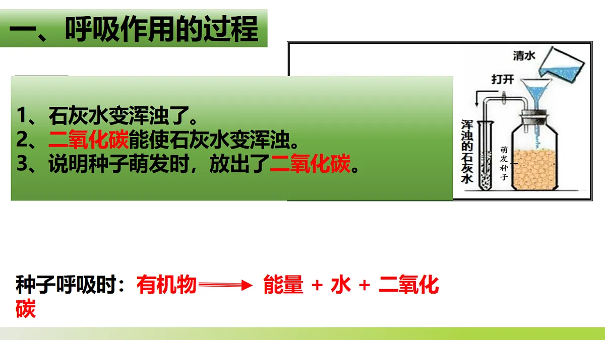 人教版 初中生物 七年级下册 - 3.2.3《呼吸作用》课件第4页