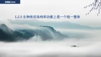 济南版（2024）七年级上册（2024）生物体在结构和功能上是一个统一整体课文ppt课件