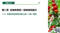 生物生物体在结构和功能上是一个统一整体教学课件ppt
