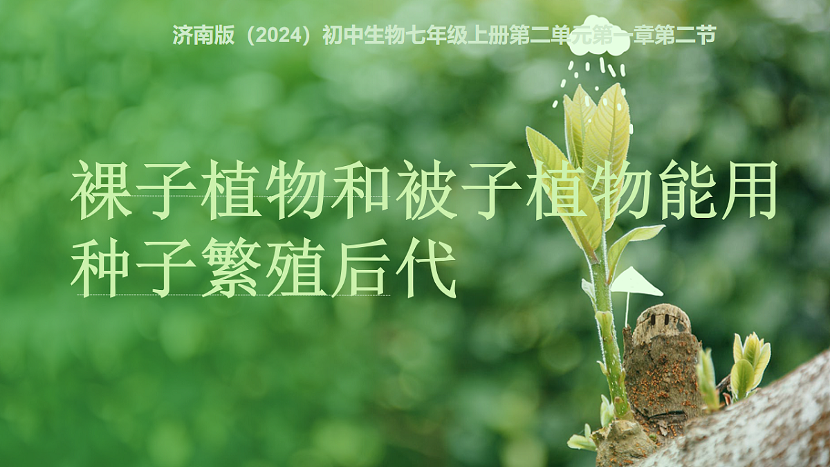 初中 生物 济南版(2024) 七年级上册2.1.2 裸子植物和被子植物能用种子繁殖后代 课件第1页