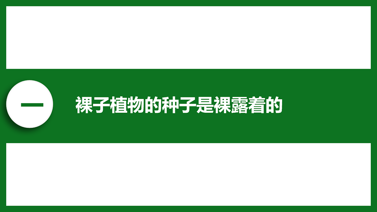 初中 生物 济南版(2024) 七年级上册2.1.2 裸子植物和被子植物能用种子繁殖后代 课件第4页