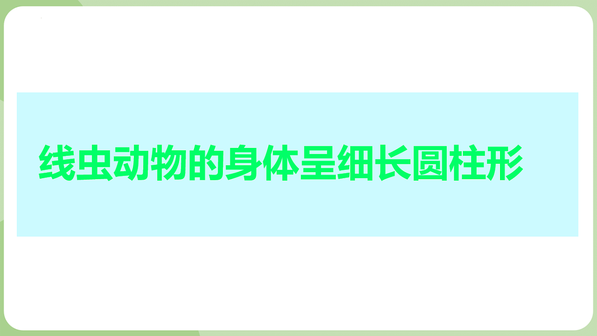 初中 生物 济南版(2024) 七年级上册2.2.1 无脊椎动物体内没有脊柱 课件第6页