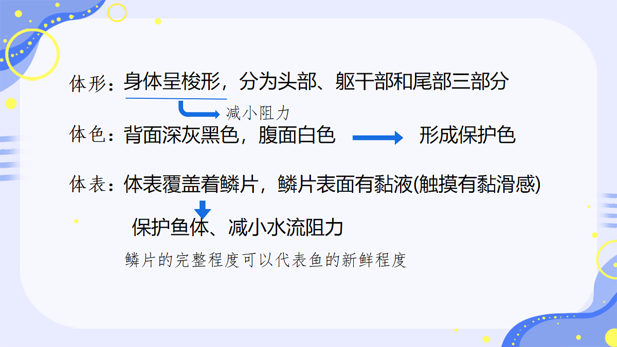 初中 生物 济南版(2024) 七年级上册2.2.2 脊椎动物身体背部有脊柱 课件第2页