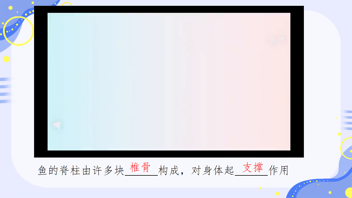 初中 生物 济南版(2024) 七年级上册2.2.2 脊椎动物身体背部有脊柱 课件第6页
