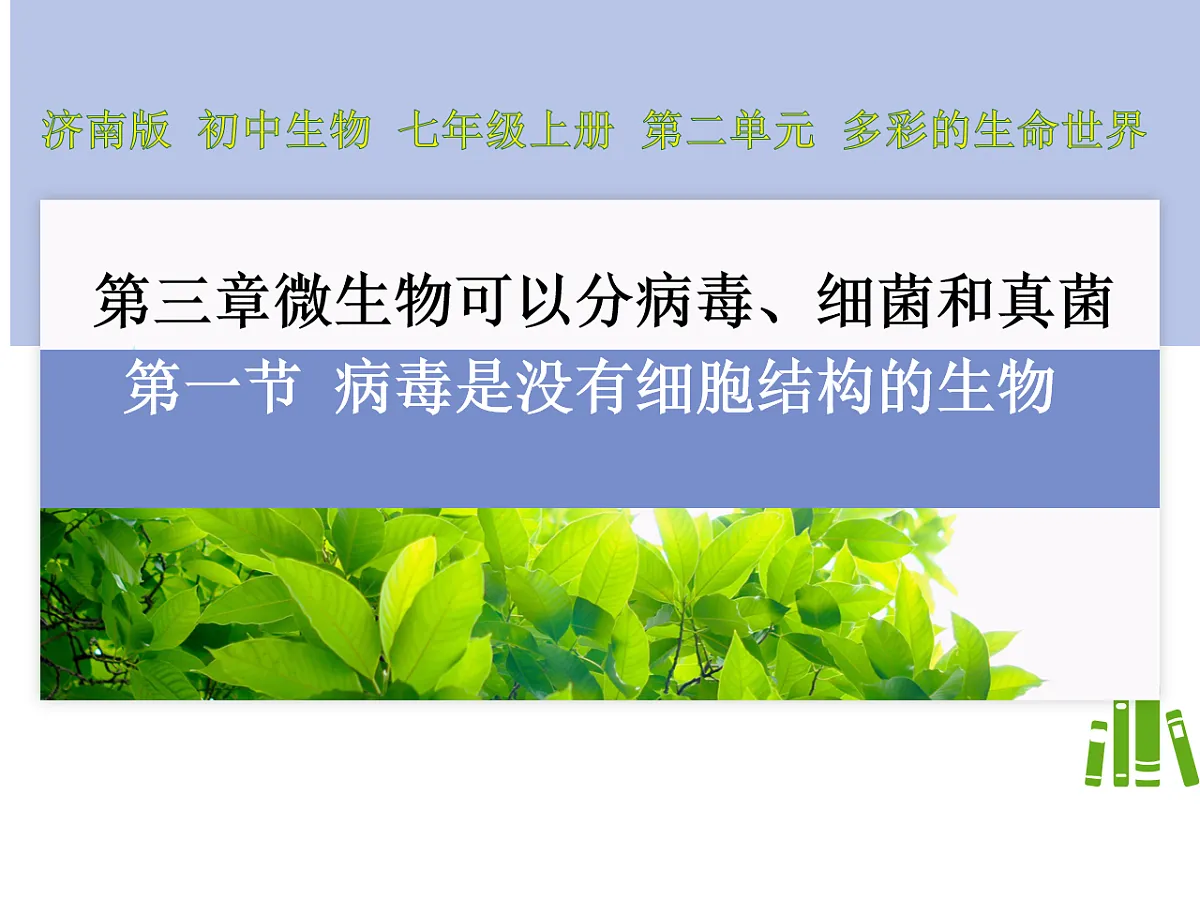 初中 生物 济南版(2024) 七年级上册2.3.1 病毒是没有细胞结构的生物 课件第1页