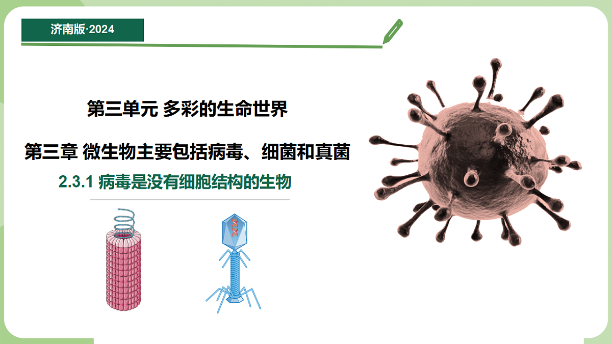 初中 生物 济南版(2024) 七年级上册2.3.1 病毒是没有细胞结构的生物 课件第1页
