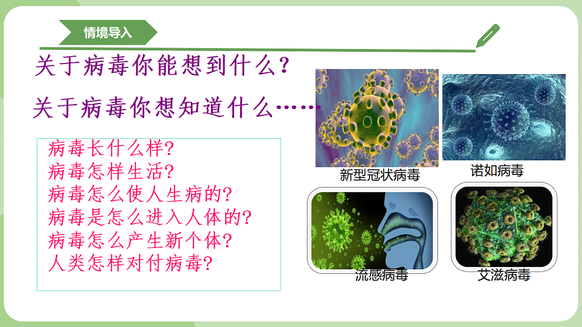 初中 生物 济南版(2024) 七年级上册2.3.1 病毒是没有细胞结构的生物 课件第3页