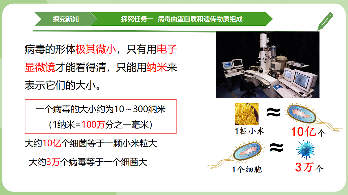 初中 生物 济南版(2024) 七年级上册2.3.1 病毒是没有细胞结构的生物 课件第5页