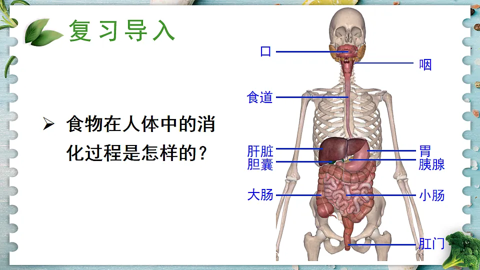 17868329第2页