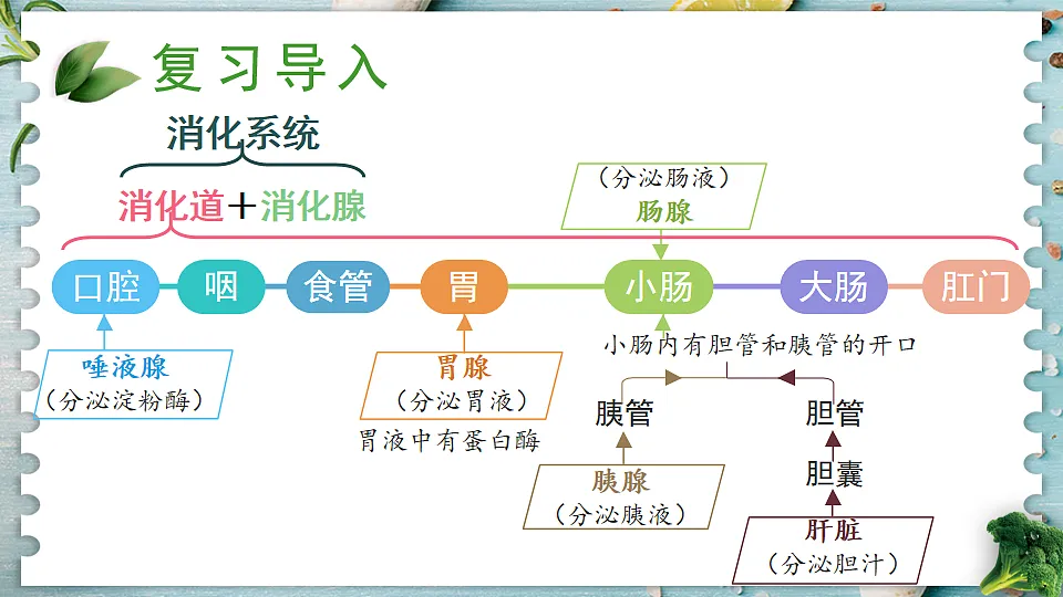 17868329第3页