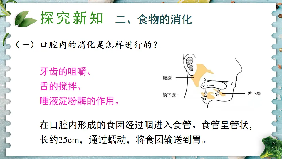 17868329第4页