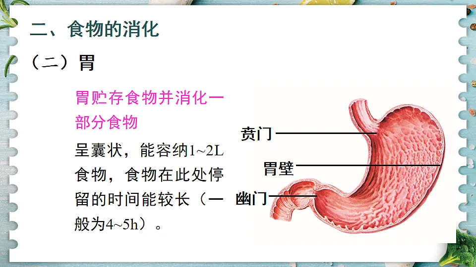 17868329第5页