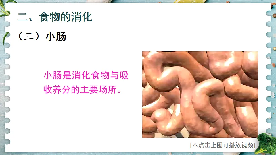 17868329第7页