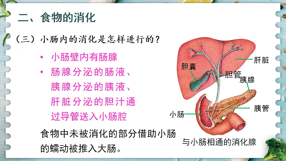 17868329第8页