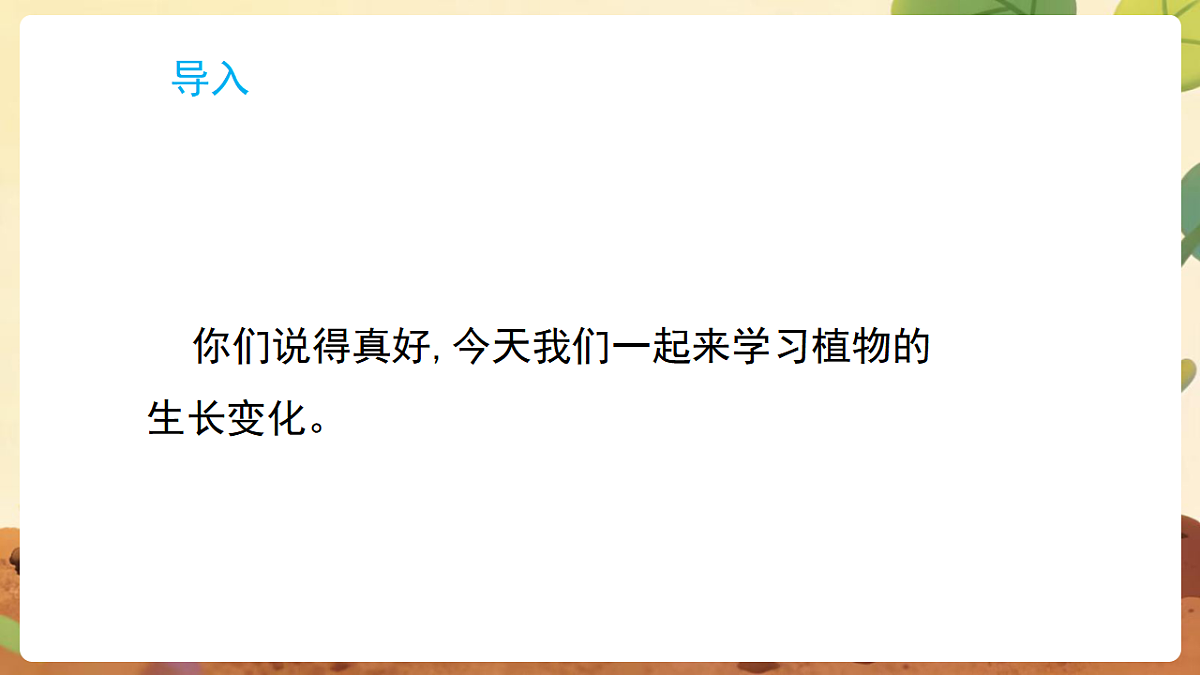 17869162第3页