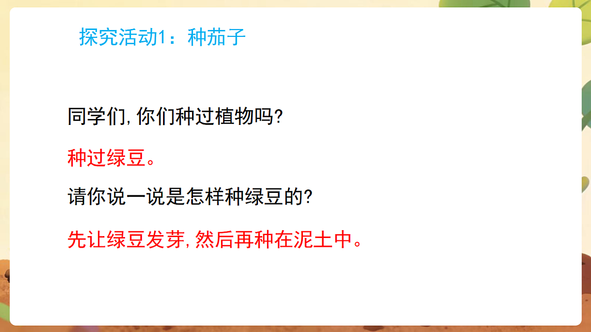 17869162第4页