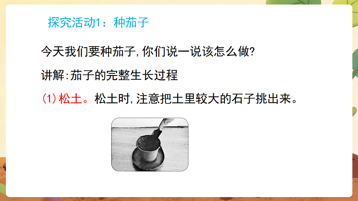 17869162第5页