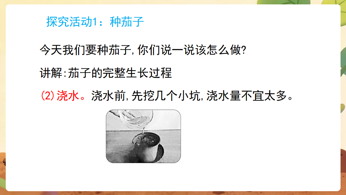 17869162第6页