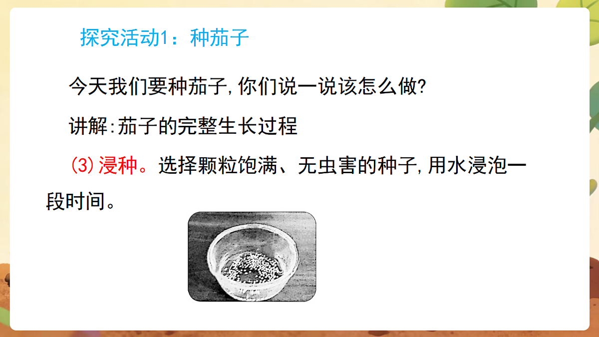 17869162第7页