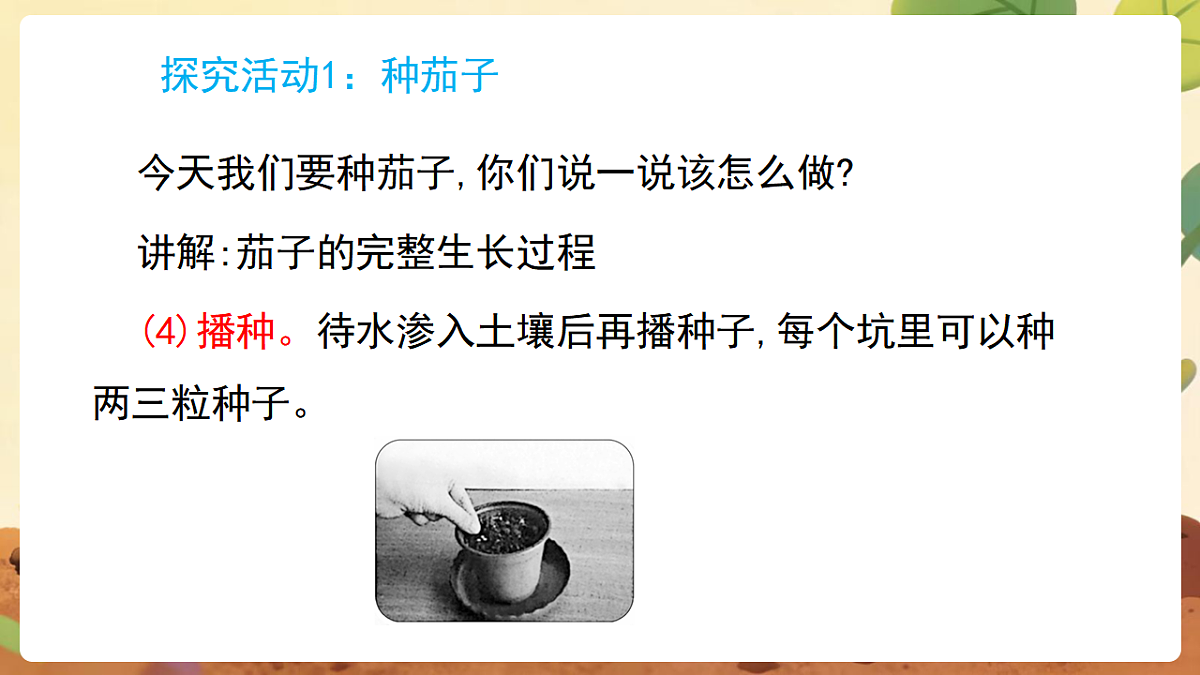 17869162第8页