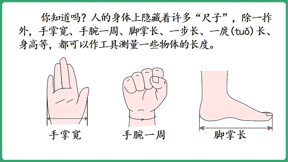 17869609第7页