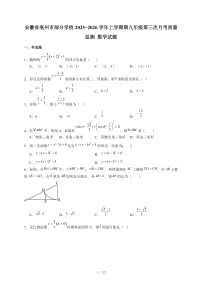 安徽省亳州市部分学校2025-2026学年上册期九年级第三次月考质量监测 数学试卷（含答案）