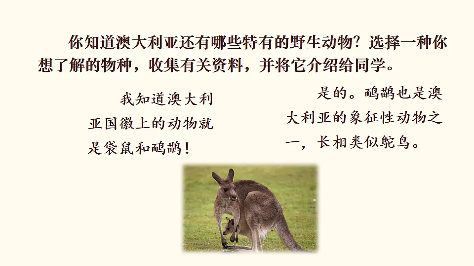 17872942第4页