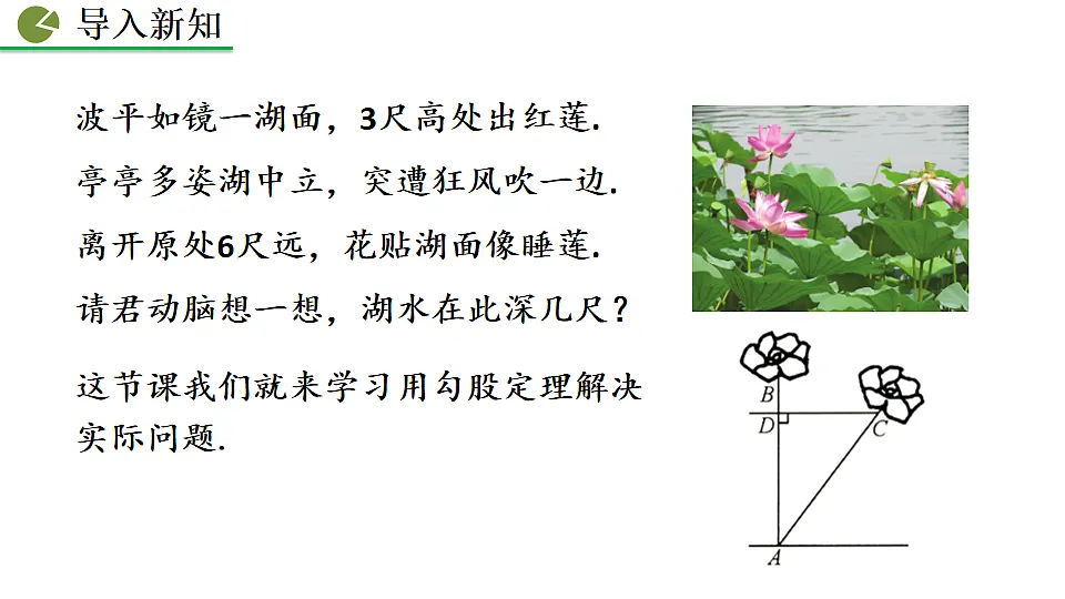 17873219第2页