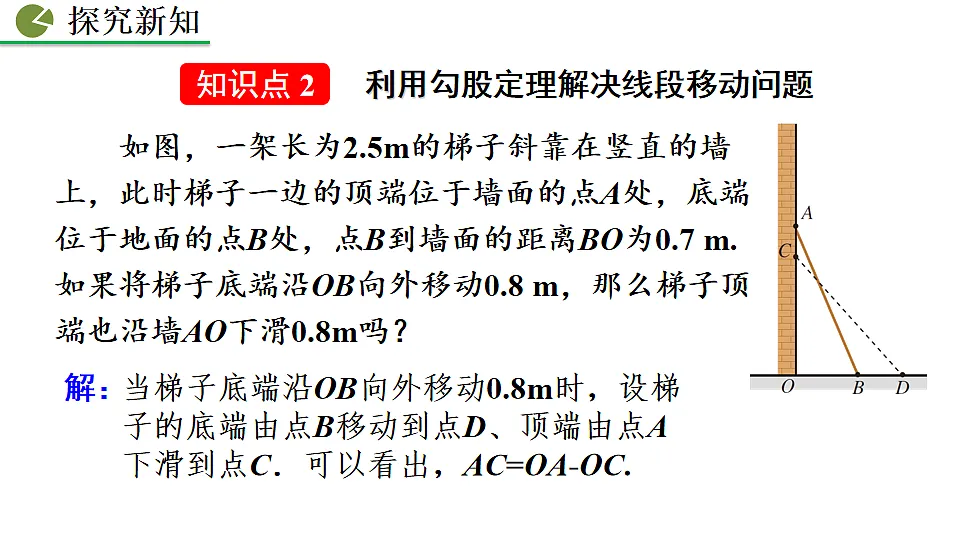 17873219第8页