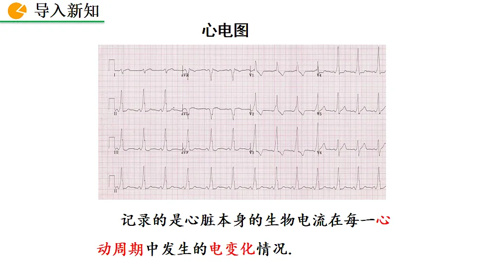 17873229第3页